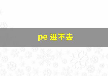 pe 进不去